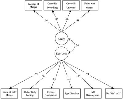Cross-validation of the ego dissolution scale: implications for studying psychedelics